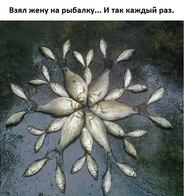 Посмеялся сам - поделись с другом!!!