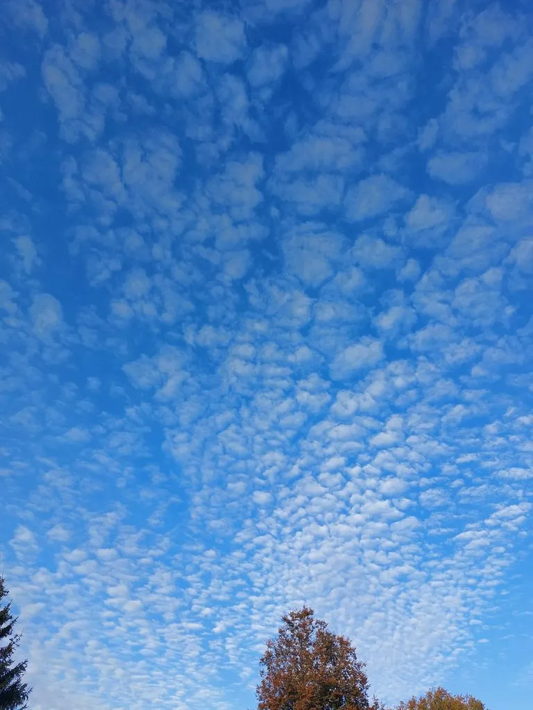 Такое разное небо