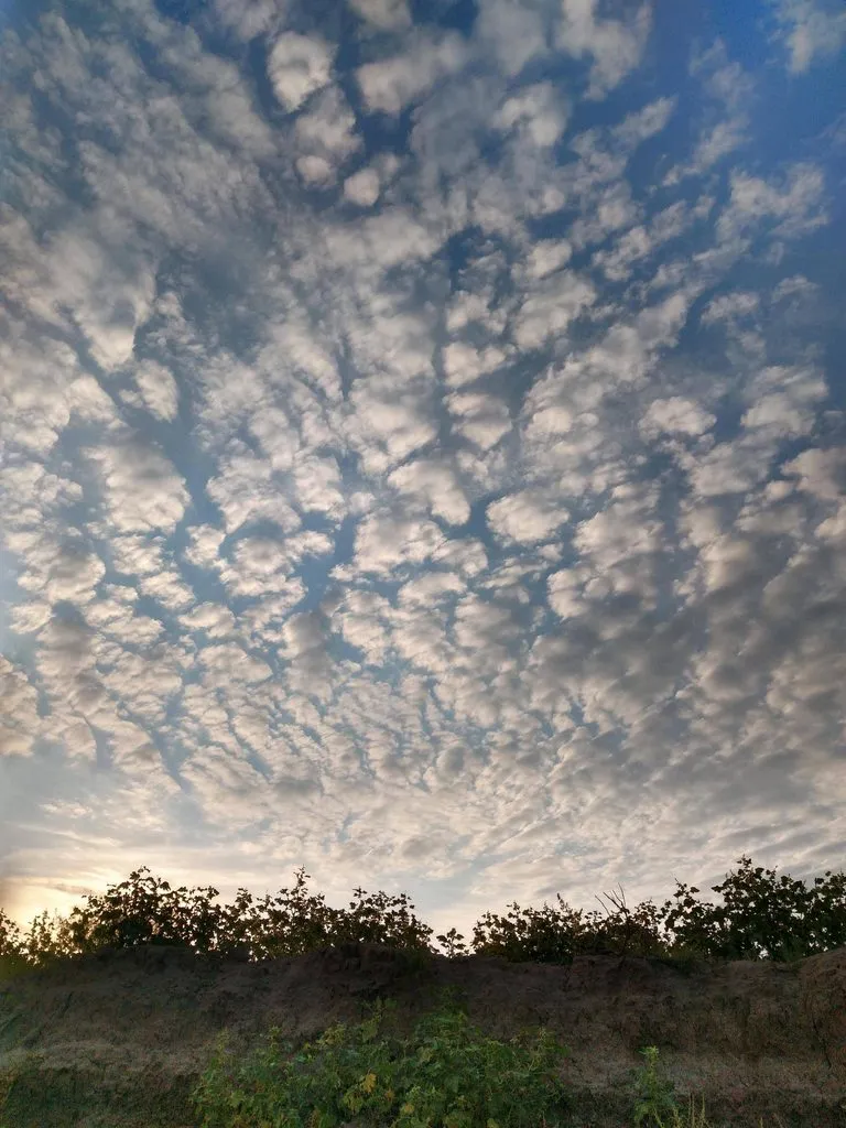 Такое разное небо