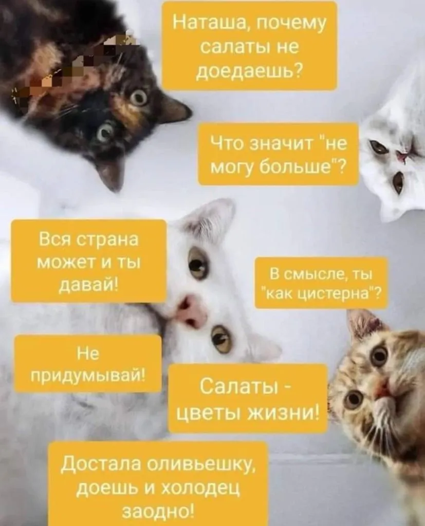 Посмеялся сам - поделись с другом!!!