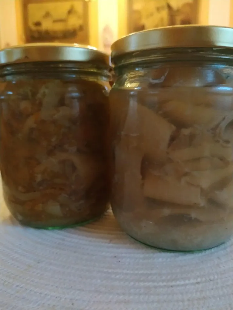 Tapтaлeтки & Ко