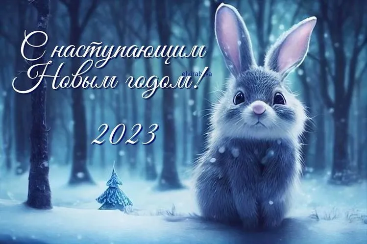 Кафе «У пани Сони»