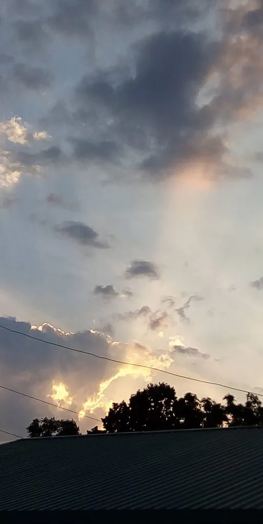 Чайная беседка