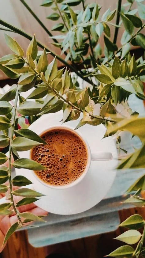 Tapтaлeтки & Ко