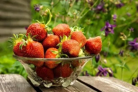 Кафе «У пани Сони»