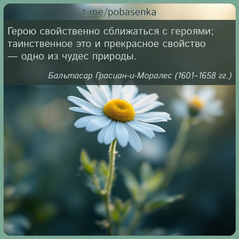 «Герою свойственно сближаться с героями; таинственное это и прекрасное свойство — одно из чудес...» height="550" width="550"