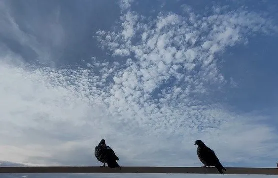 Такое разное небо