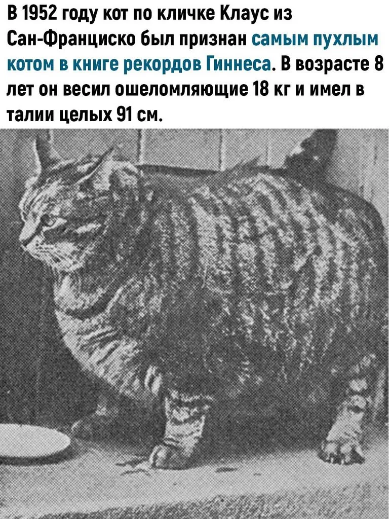 Это интересно!