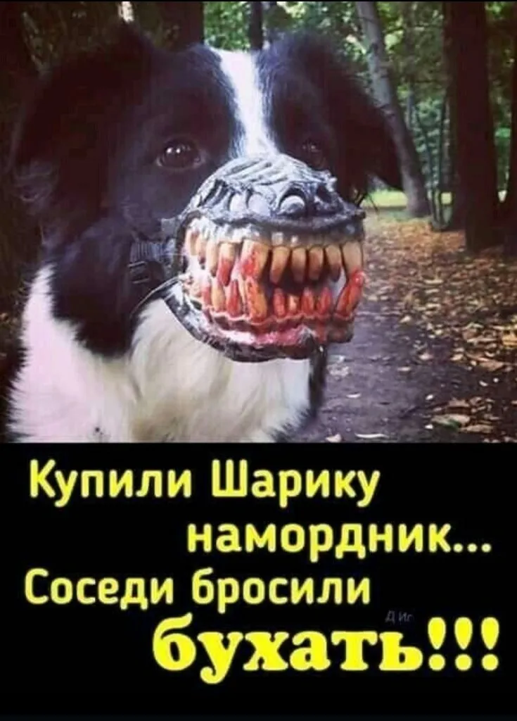 Посмеялся сам - поделись с другом!!!