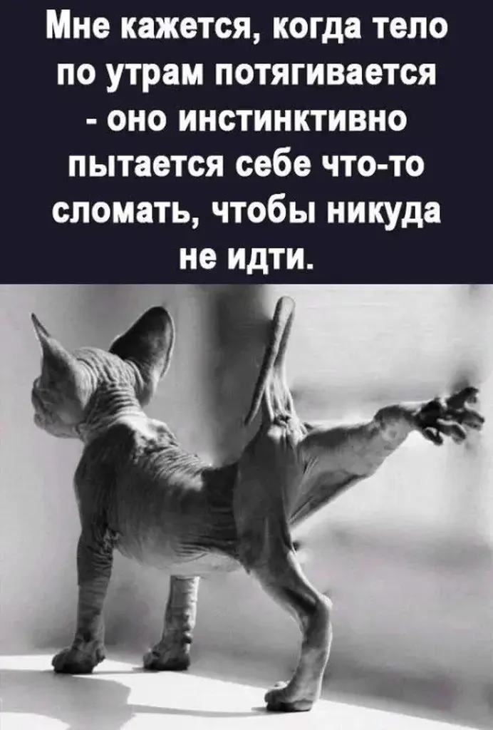 Посмеялся сам - поделись с другом!!!