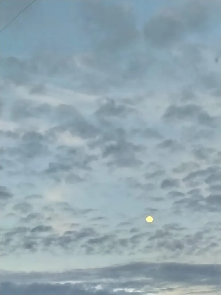 Такое разное небо