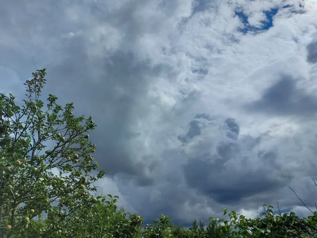 Такое разное небо