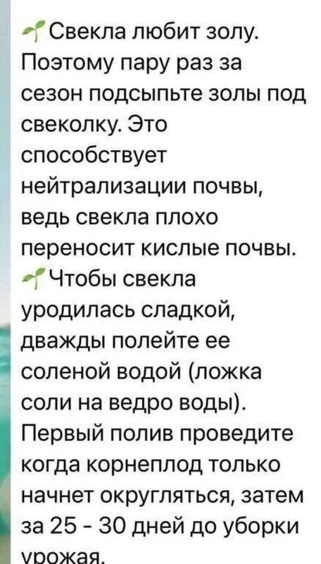 Садово-огородная  инфографика