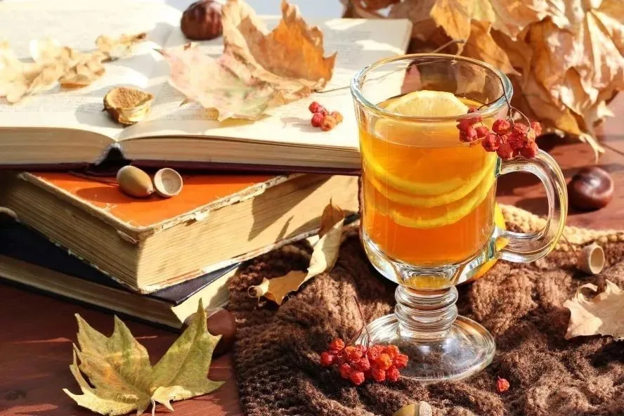 Кафе "У пани Сони"