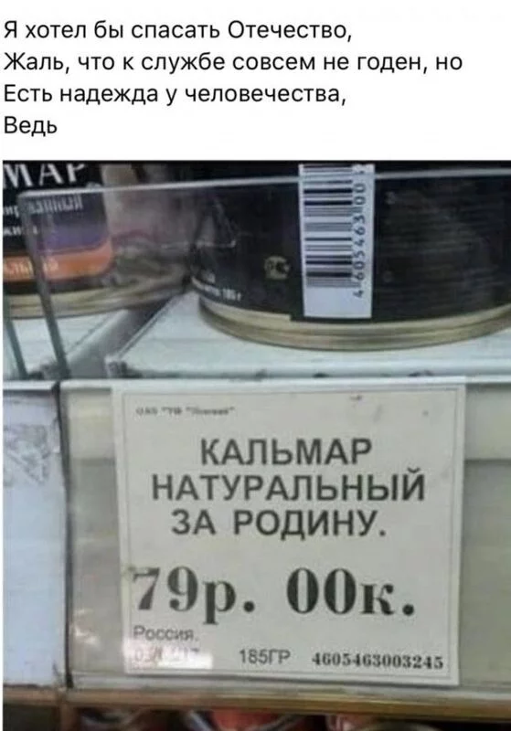 Всюду рифмы