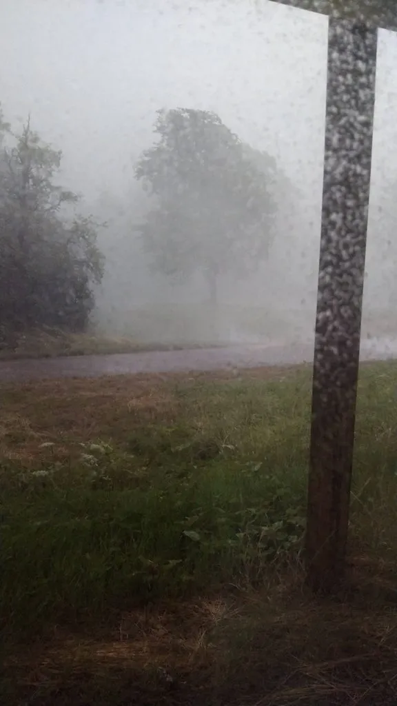 Чайная беседка