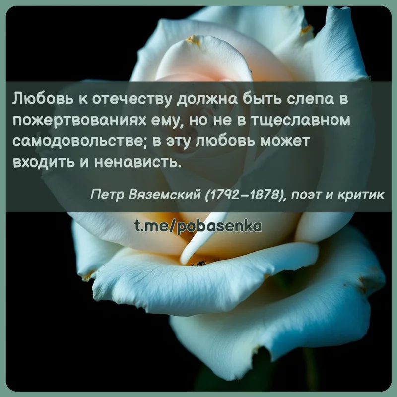 «Любовь к отечеству должна быть слепа в пожертвованиях ему, но не в тщеславном самодовольстве; в эту любовь может входить и...» height="550" width="550"