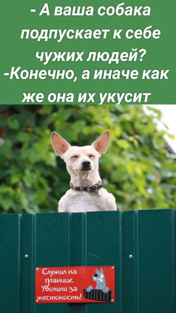Посмеялся сам - поделись с другом!!!