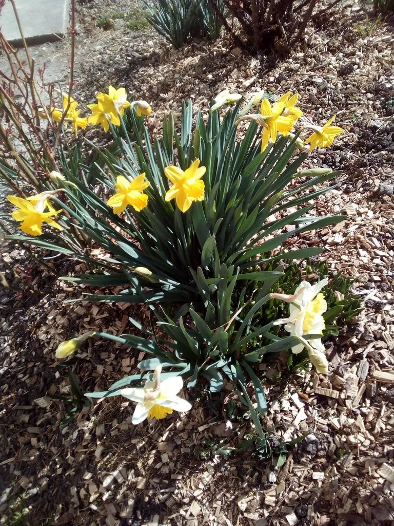 Tapтaлeтки & Ко