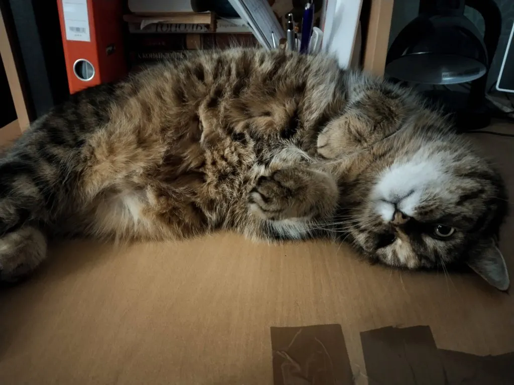 Чайная беседка