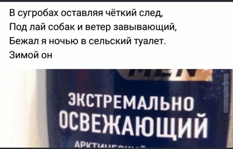 Всюду рифмы