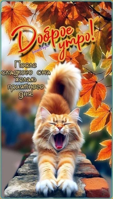 Кафе "У пани Сони"