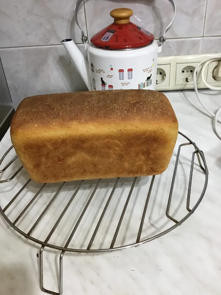 Хлеб амурский заливной