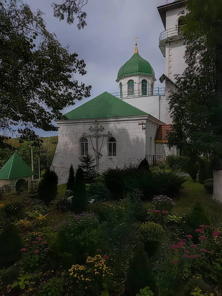 Флора