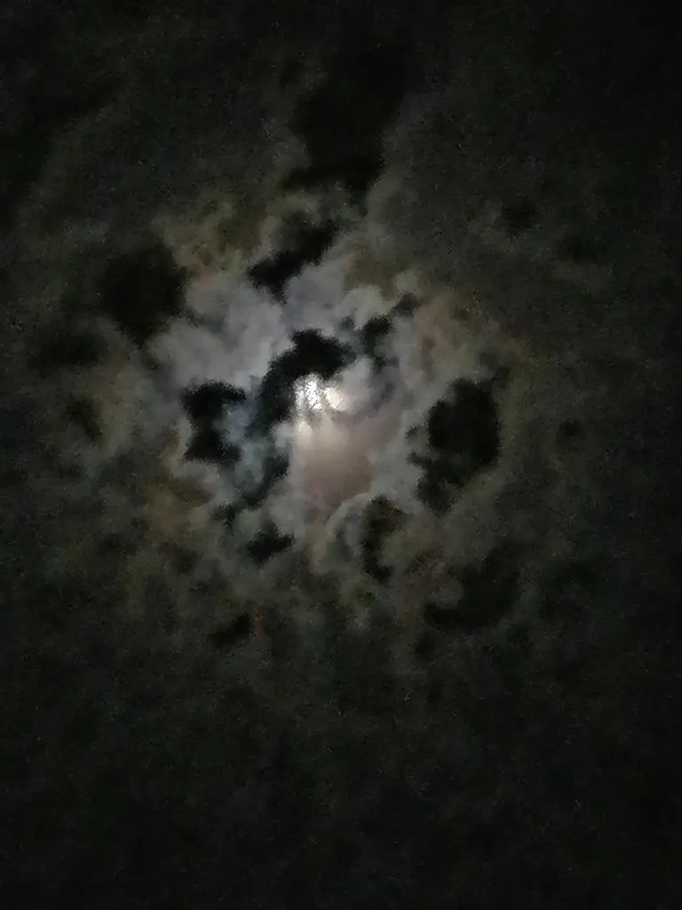 Чайная беседка