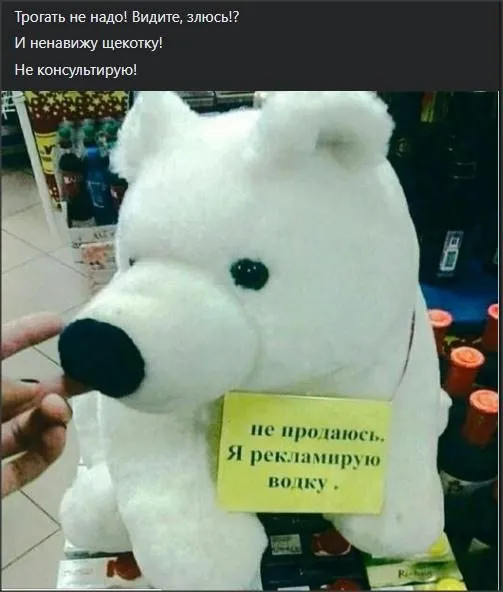 Всюду рифмы