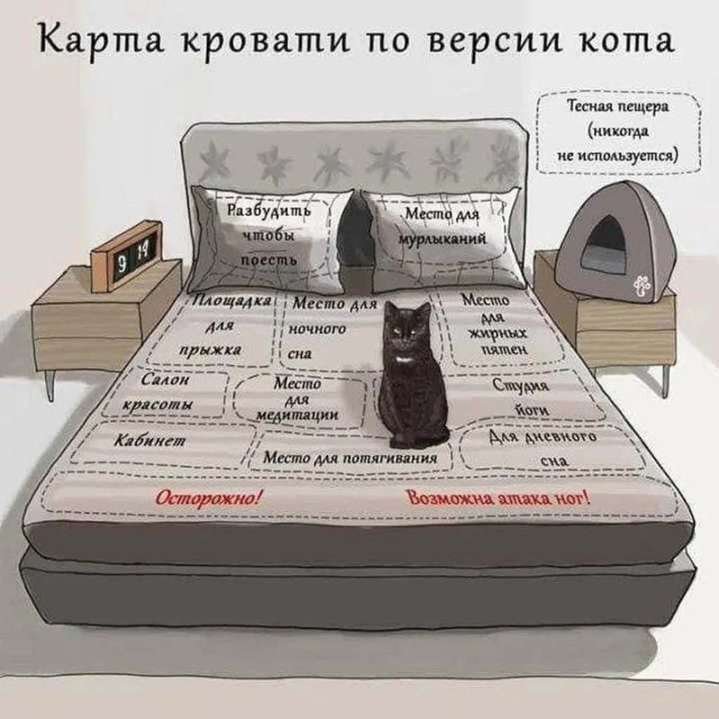 Посмеялся сам - поделись с другом!!!