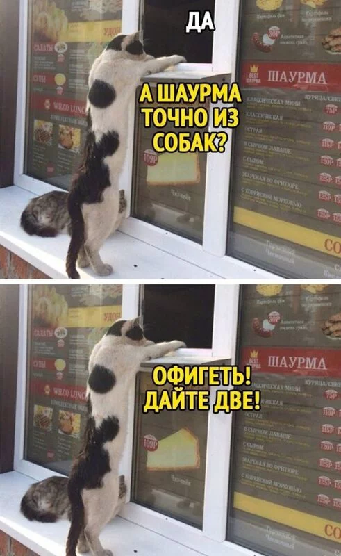 Посмеялся сам - поделись с другом!!!