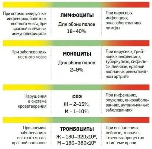 Медицинская инфографика