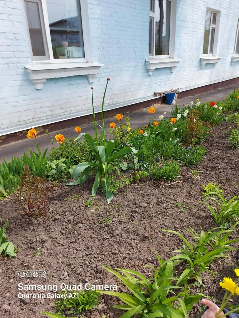 Чайная беседка