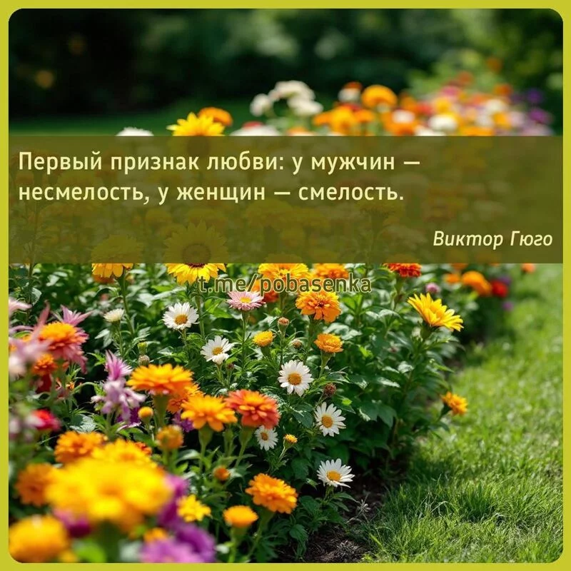 «Первый признак любви у мужчин — несмелость, у женщин —...» height="550" width="550"