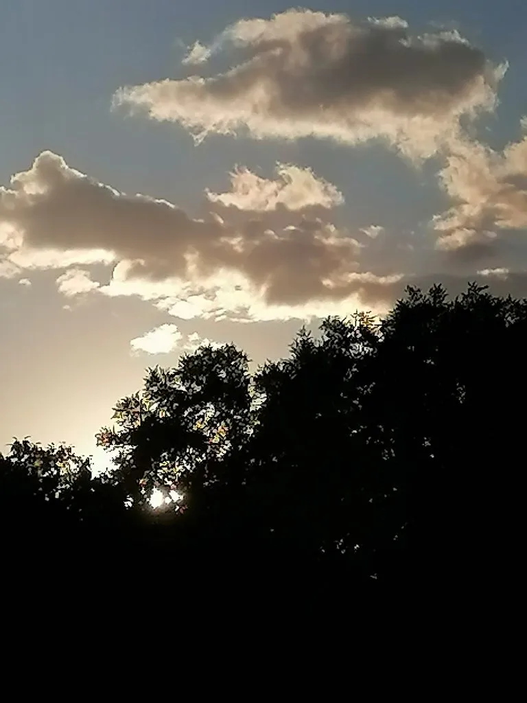 Чайная беседка