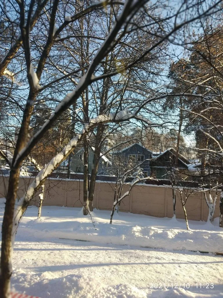 Кафе «У пани Сони»