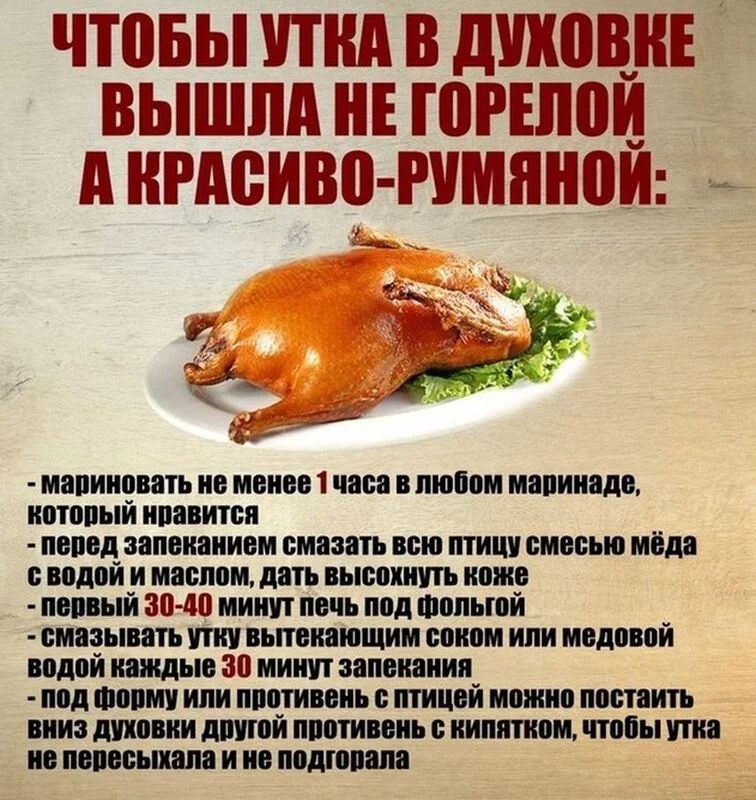 Кулинарная инфографика в рецептах