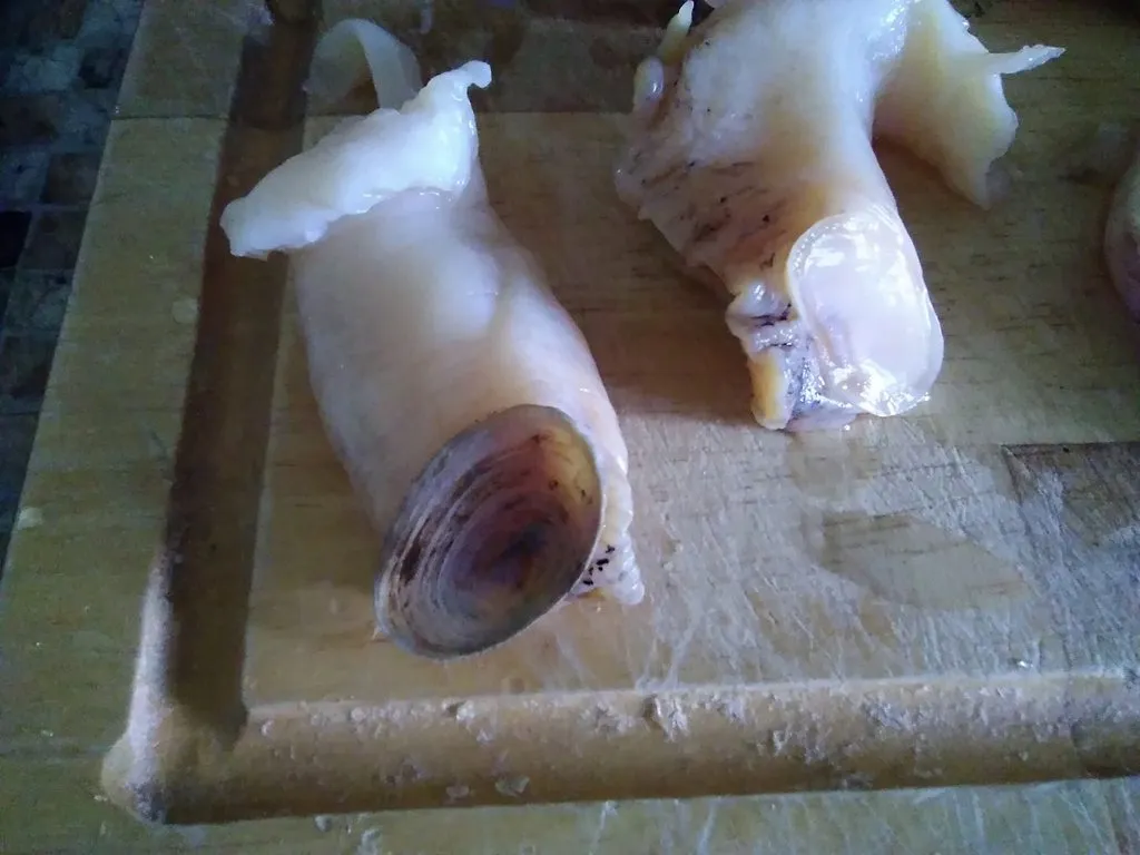 Совместная закупка сахалинских морепродуктов в Москве