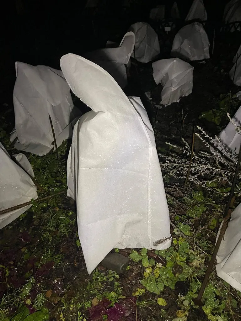 Загородная жизнь - обустройство жизни на своей земле во всем ее разнообразии