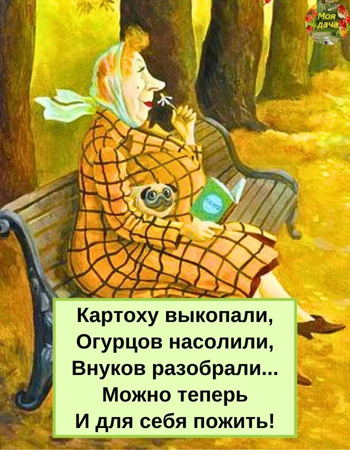 Сажаем, растим, собираем урожай…