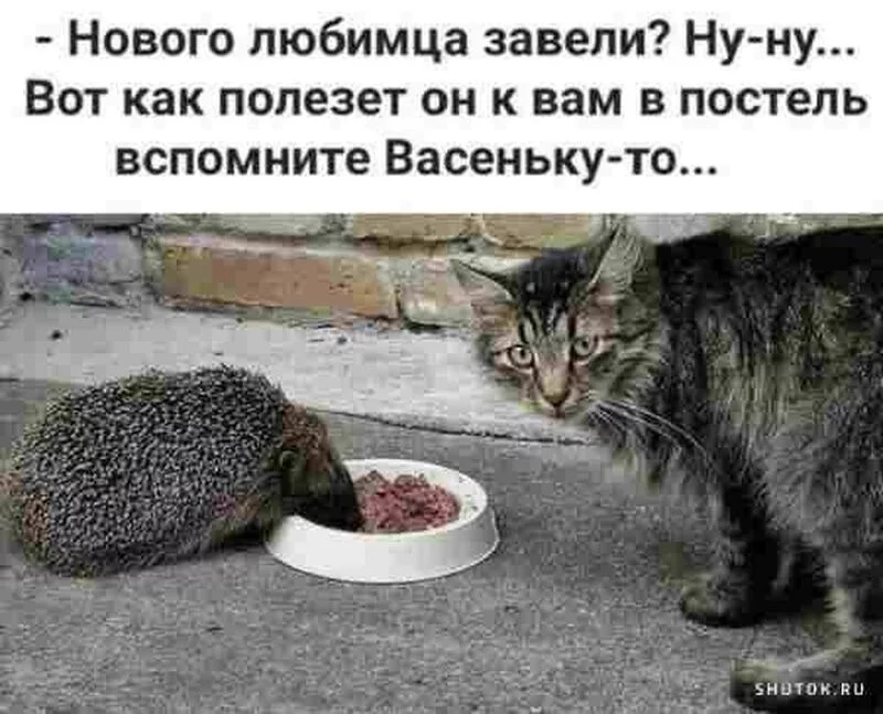 Посмеялся сам - поделись с другом!!!