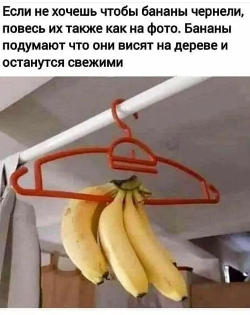 Посмеялся сам - поделись с другом!!!
