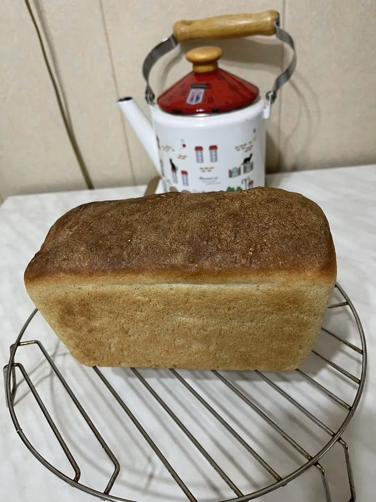 Хлеб амурский заливной
