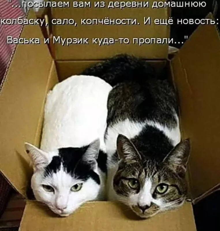 Посмеялся сам - поделись с другом!!!