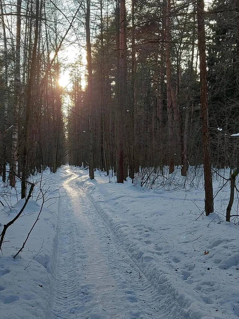 Чайная беседка