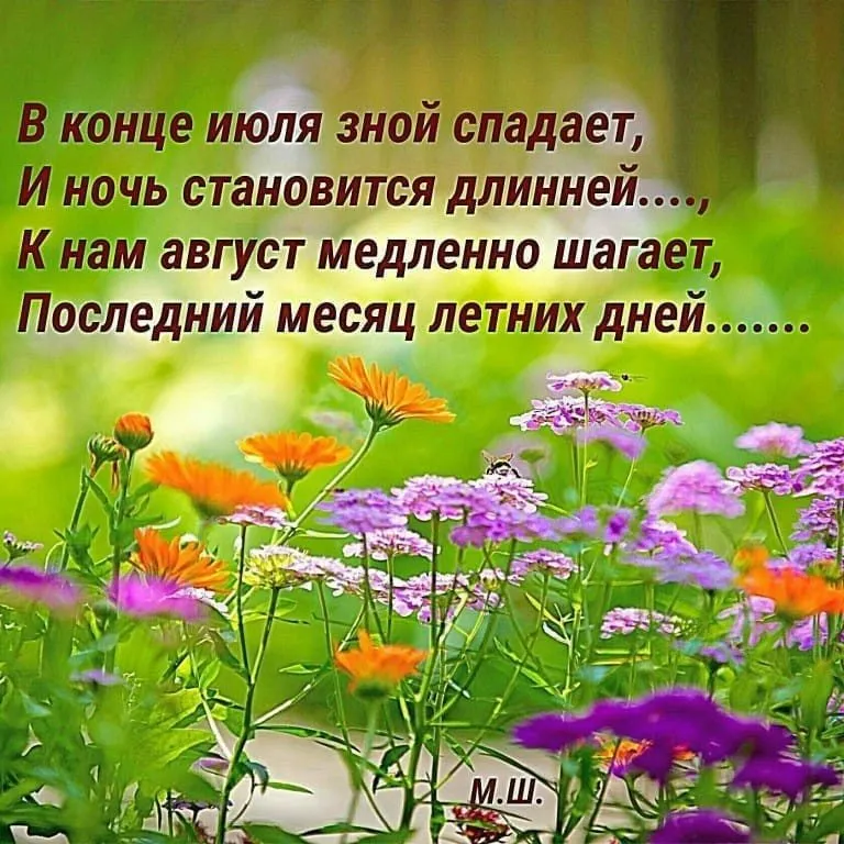 Кафе «У пани Сони»