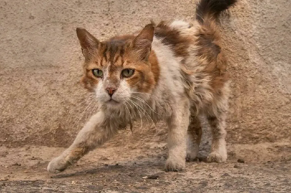 Рассказы для души
