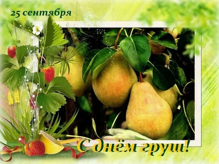Tapтaлeтки & Ко