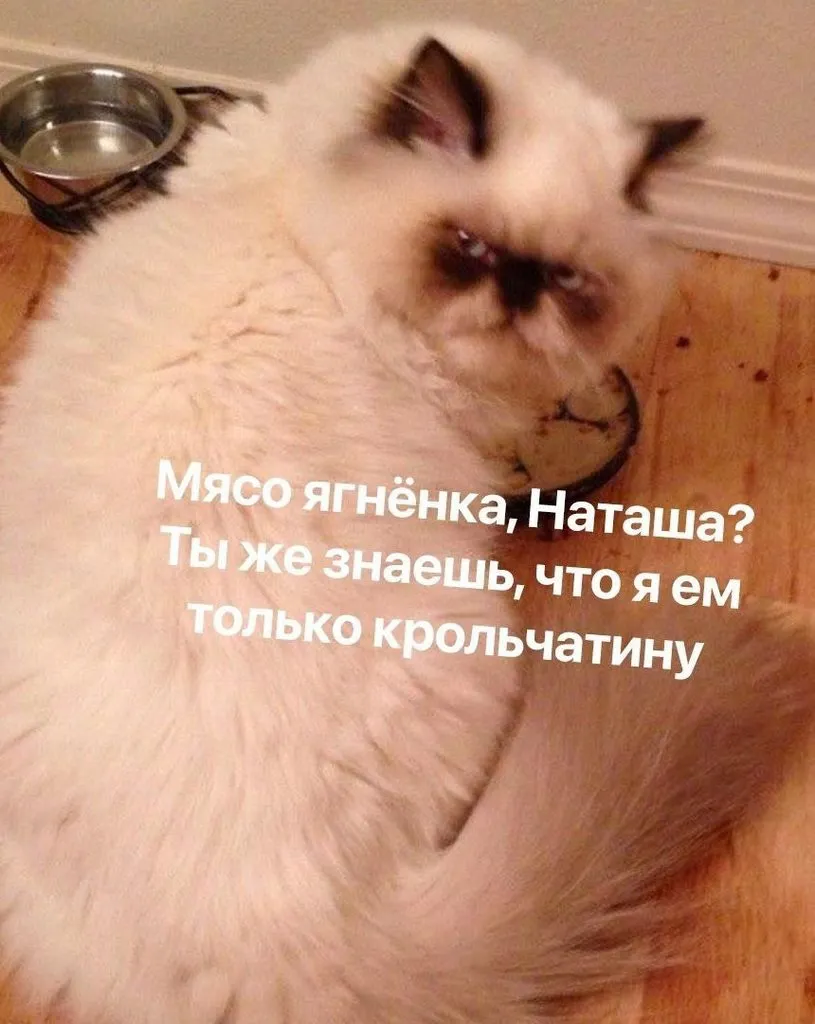 Посмеялся сам - поделись с другом!!!